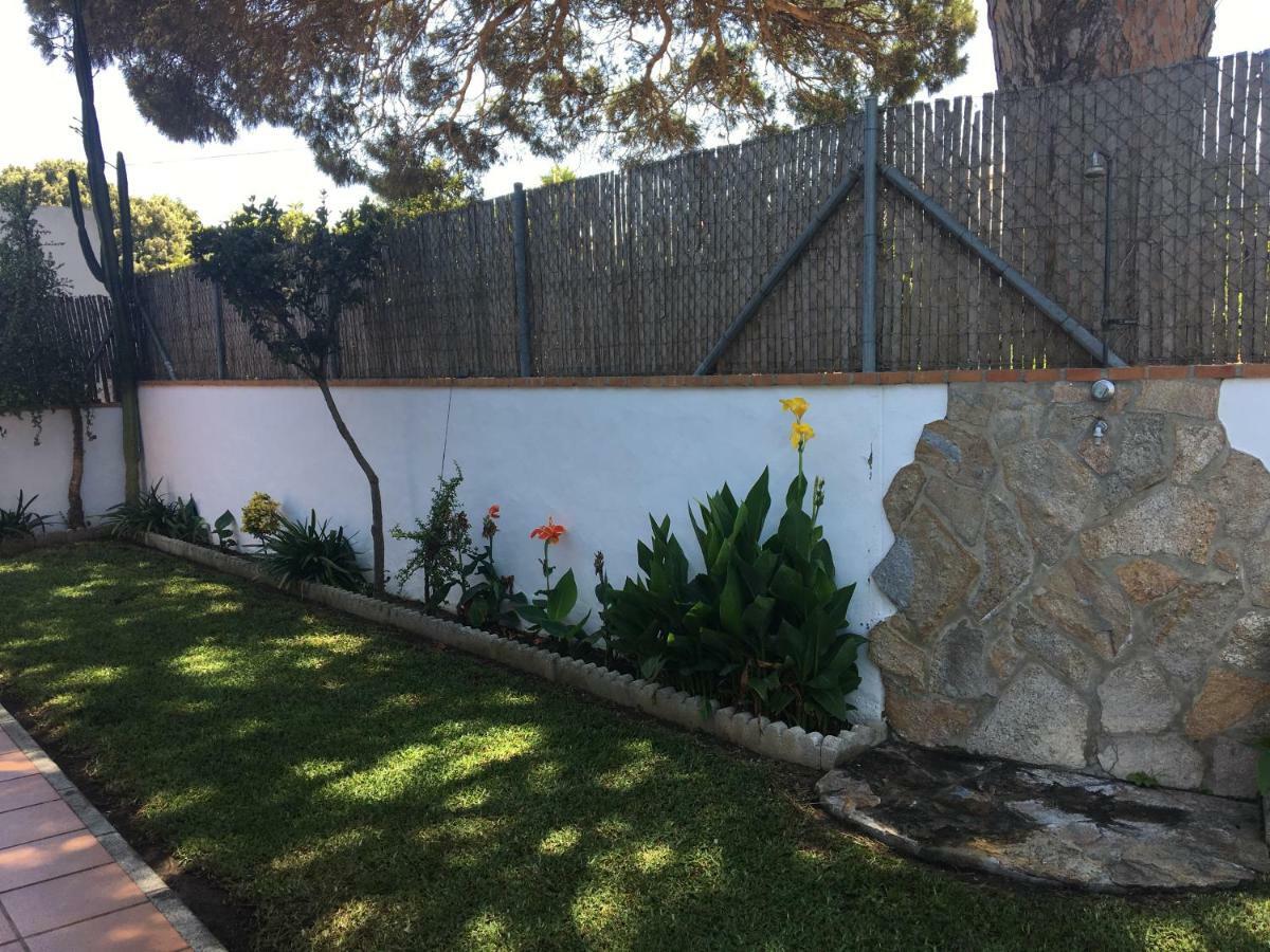 Villa Gallardo - Cerca Playa Y Pueblo - Solo Parejas O Familias Conil de la Frontera Kültér fotó